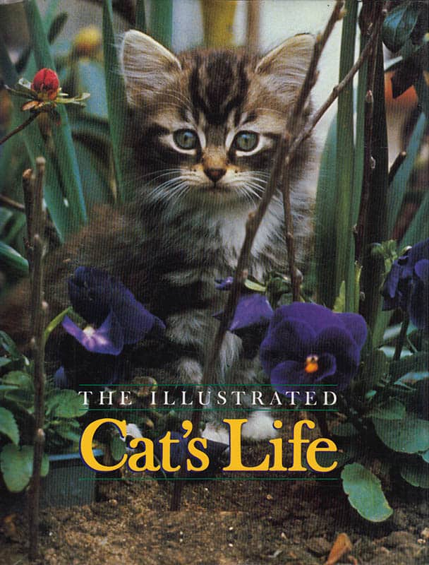 Warren Eckstein : The Illustrated Cat's Life