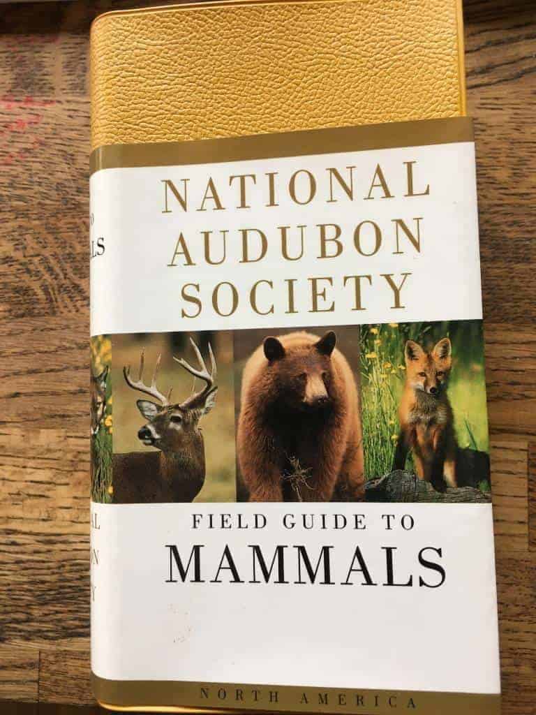 Whitaker, John O. ; National Audubon Society. : National Audubon Society field guide to North American mammals