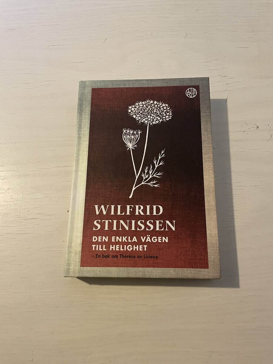 Wilfrid Stinissen : Den enkla vägen till helighet