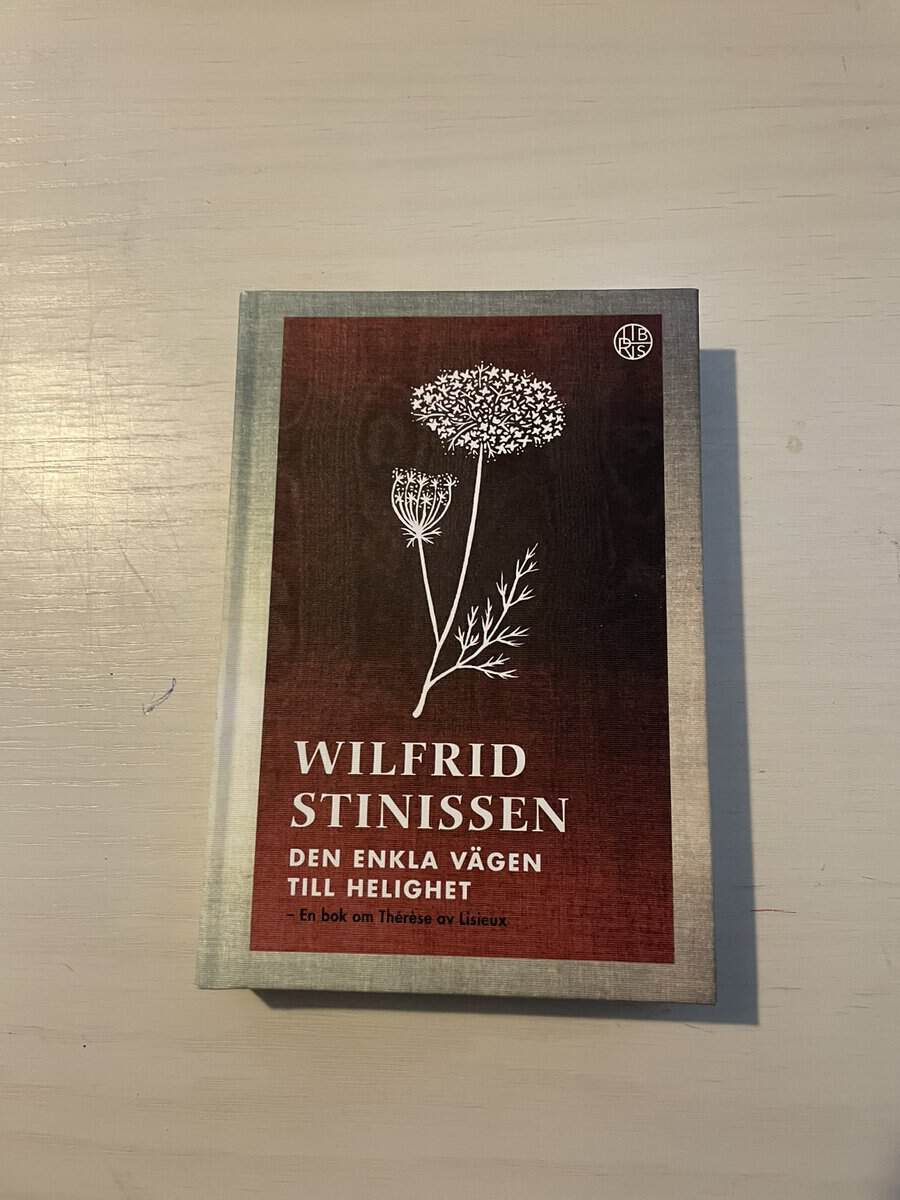 Wilfrid Stinissen : Den enkla vägen till helighet