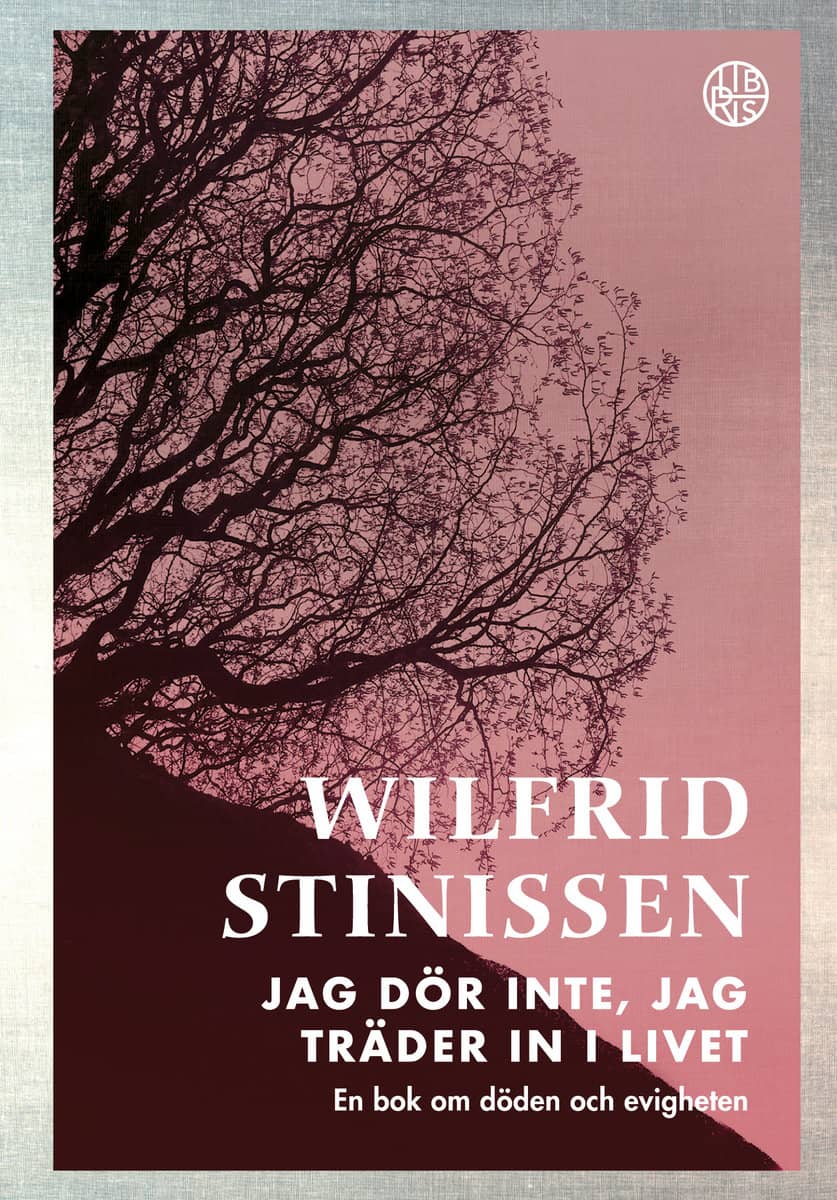 Wilfrid Stinissen : Jag dör inte, jag träder in i livet : en bok om döden och evigheten