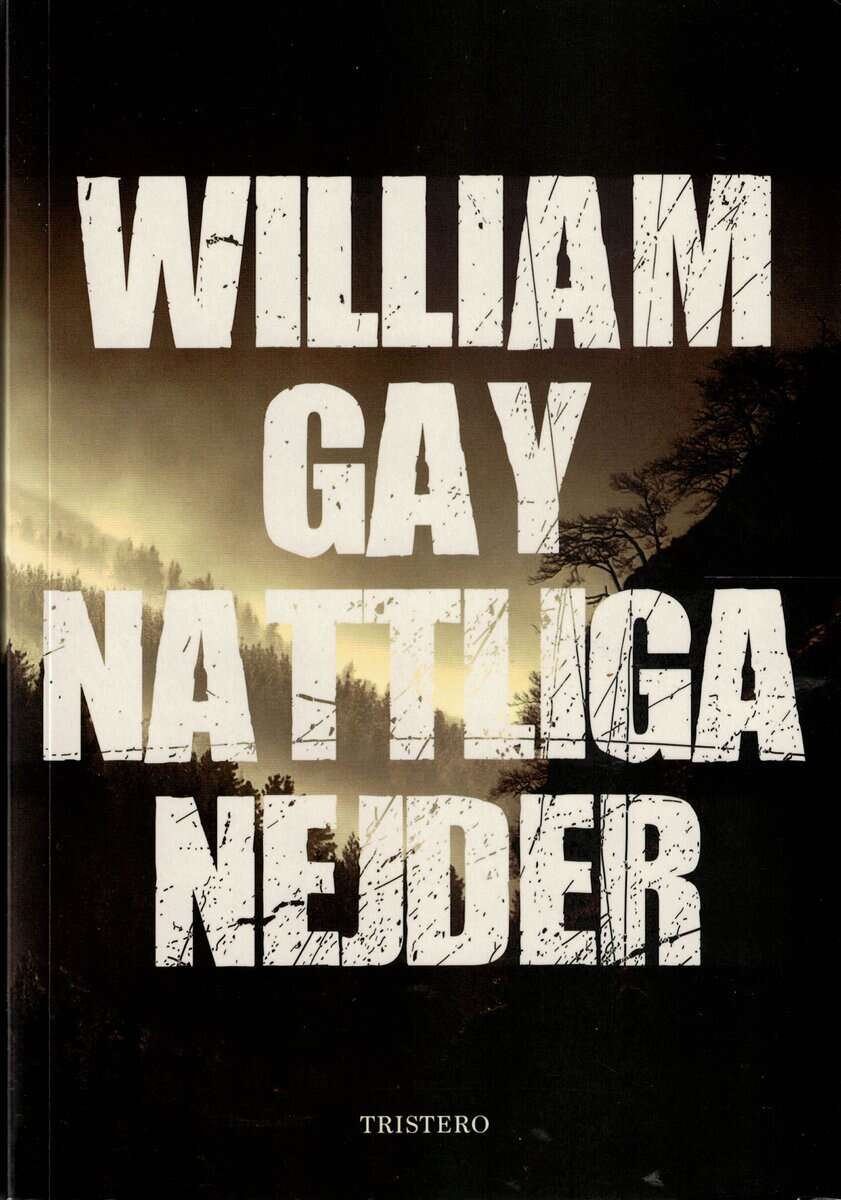 William Gay : Nattliga nejder