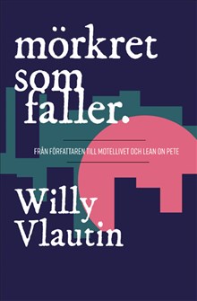 Willy Vlautin : Mörkret som faller