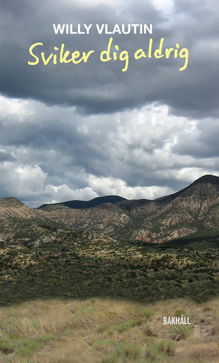 Willy Vlautin : Sviker dig aldrig