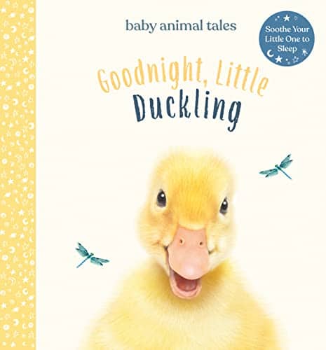 Wood Amanda : Goodnight, Little Duckling