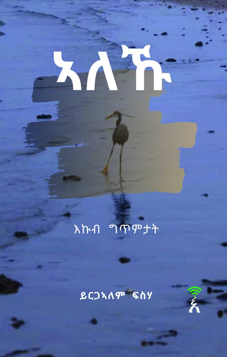 Yirgalem Fisseha : Aleku