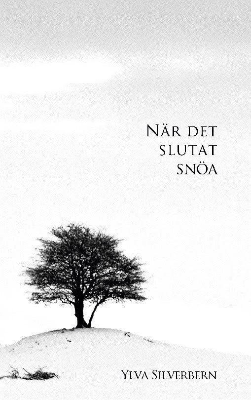 Ylva Silverbern : När det slutat snöa