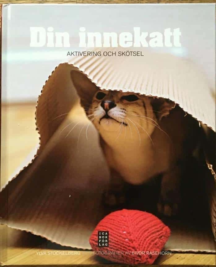 Ylva Stockelberg : Din innekatt