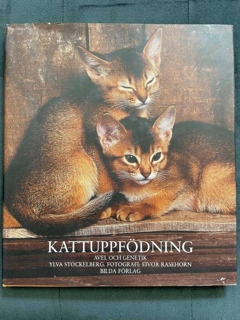 Ylva Stockelberg : Kattuppfödning