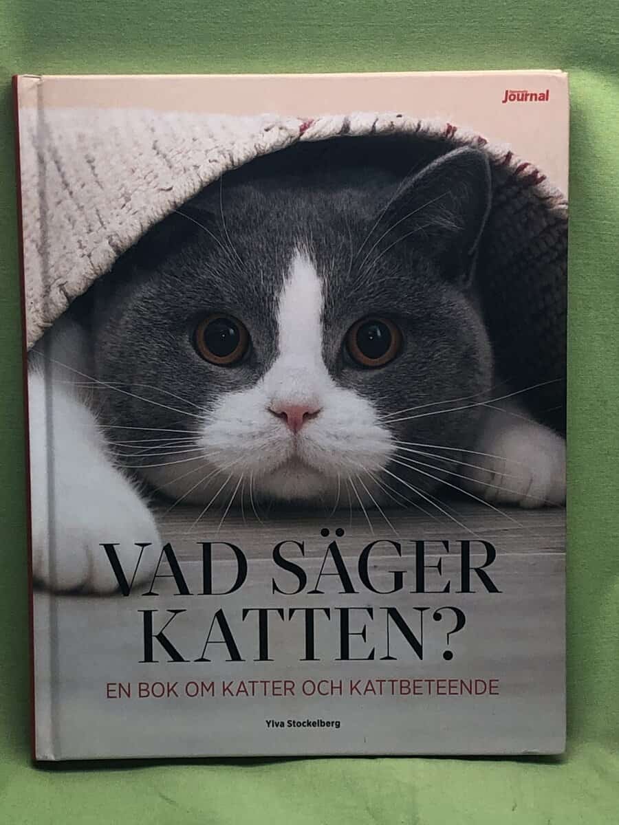 Ylva Stockelberg : Vad säger katten?