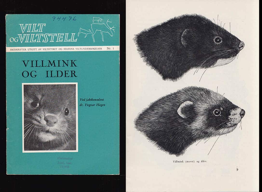Yngvar Hagen : Villmink og ilder. Ved jaktkonsulent dr. Yngvar Hagen
