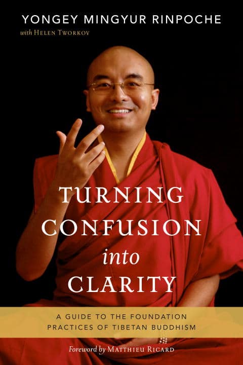 Yongey Rinpoche Mingyur : Turning confusion into clarity