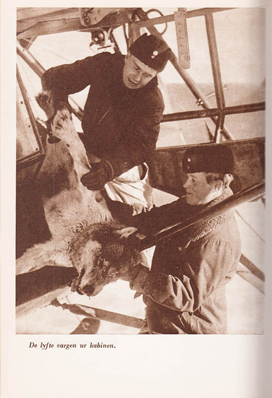 Yrjö Kokko : Vargtänderna