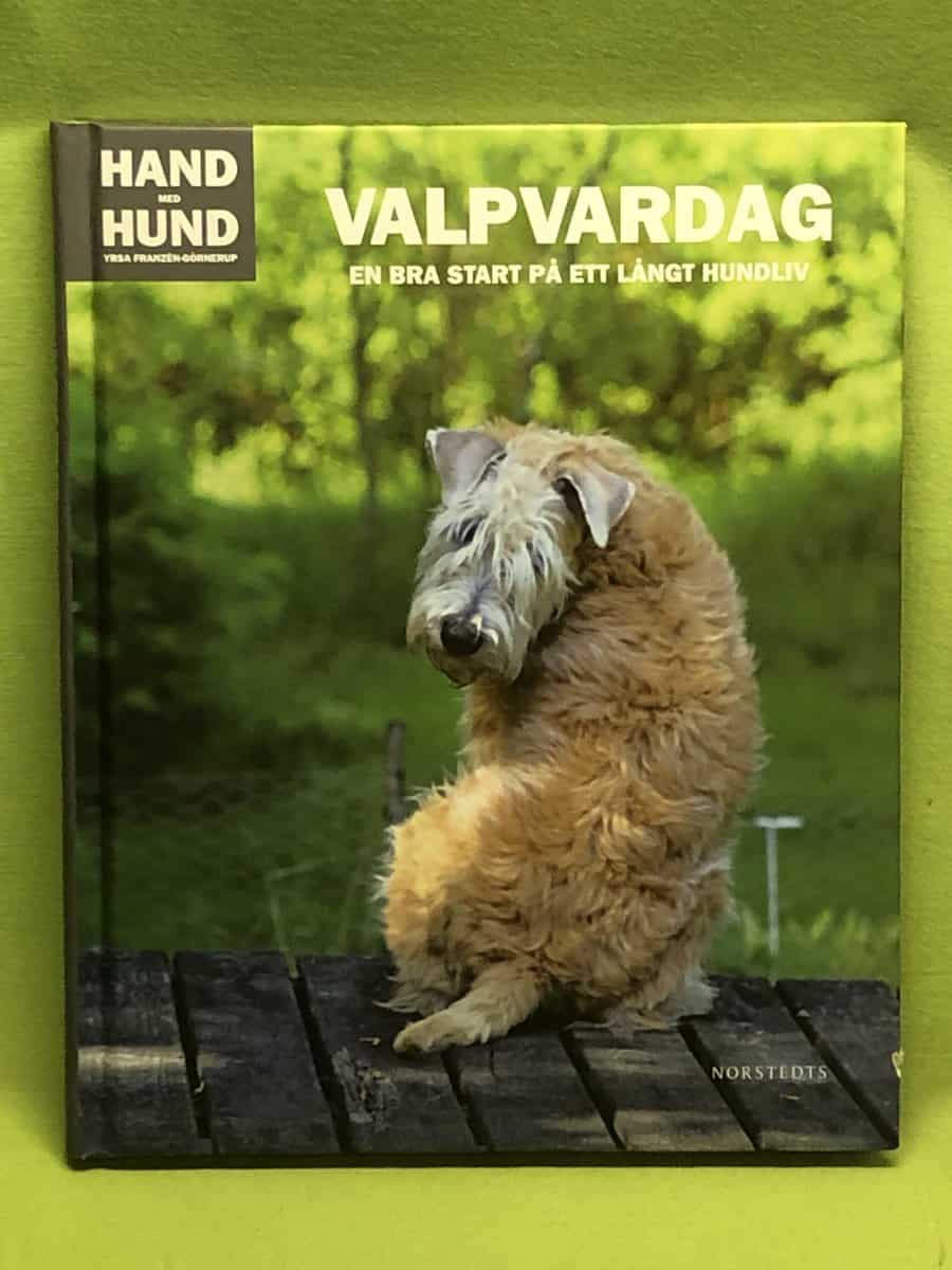 Yrsa Franzén-Görnerup : Valpvardag en bra start på ett långt hundliv