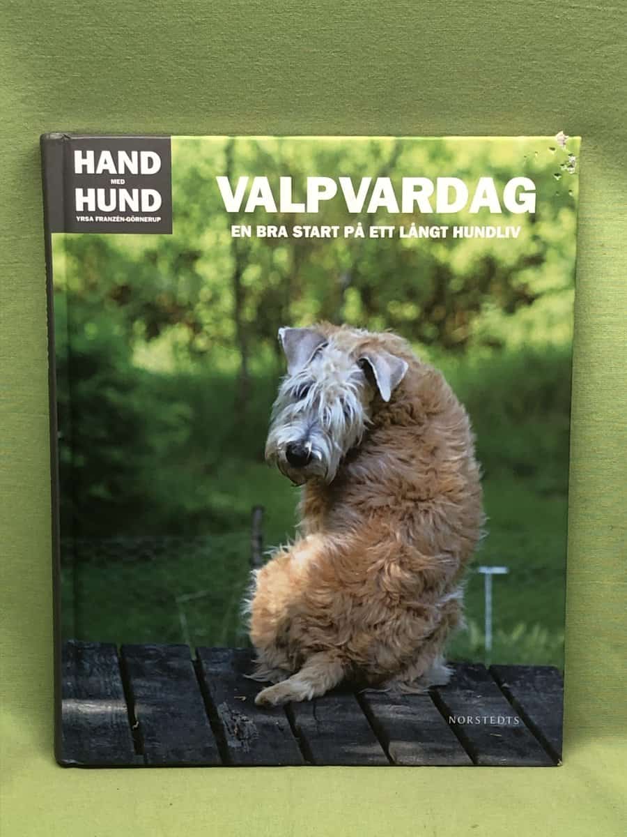 Yrsa Franzén-Görnerup : Valpvardag