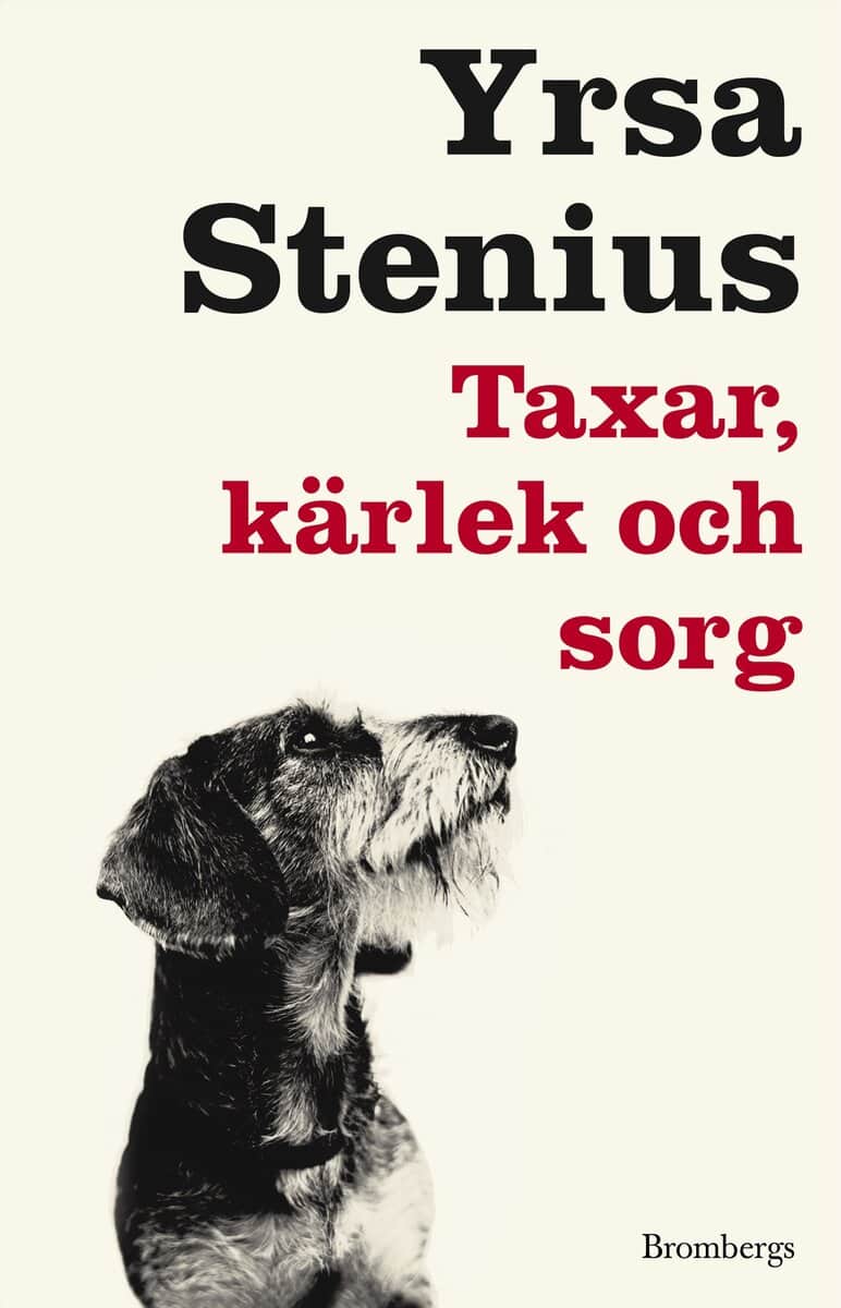 Yrsa Stenius : Taxar, kärlek och sorg