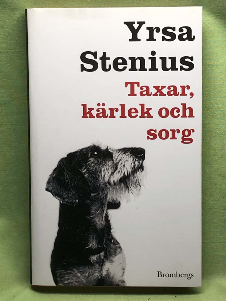 Yrsa Stenius : Taxar, kärlek och sorg