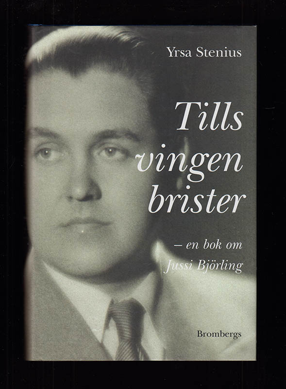 Yrsa Stenius : Tills vingen brister