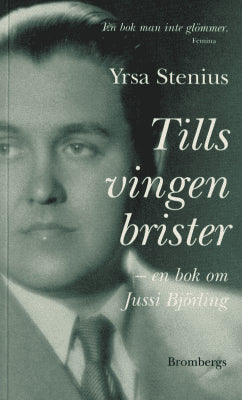 Yrsa Stenius : Tills vingen brister