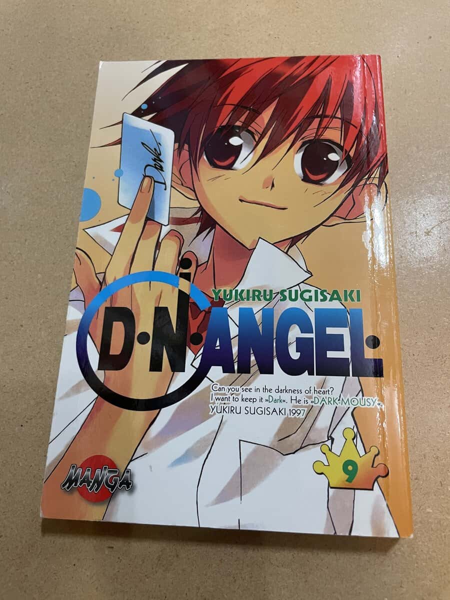 Yukiru Sugisaki : D. N. Angel 9