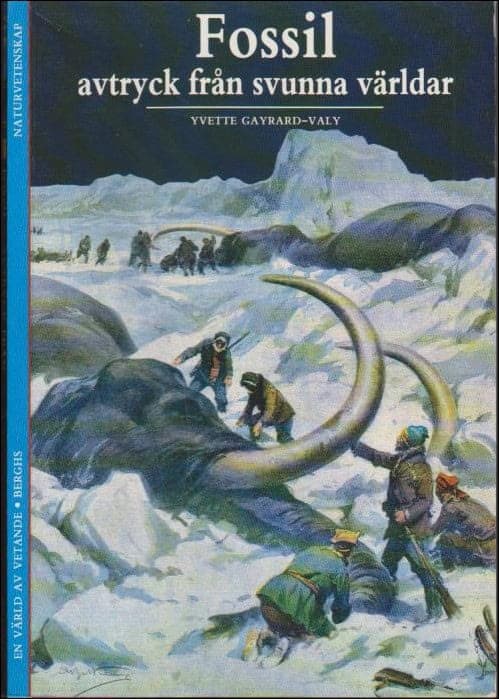 Yvette Gayrard-Valy : Fossil