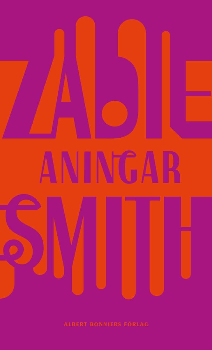 Zadie Smith : Aningar : sex essäer