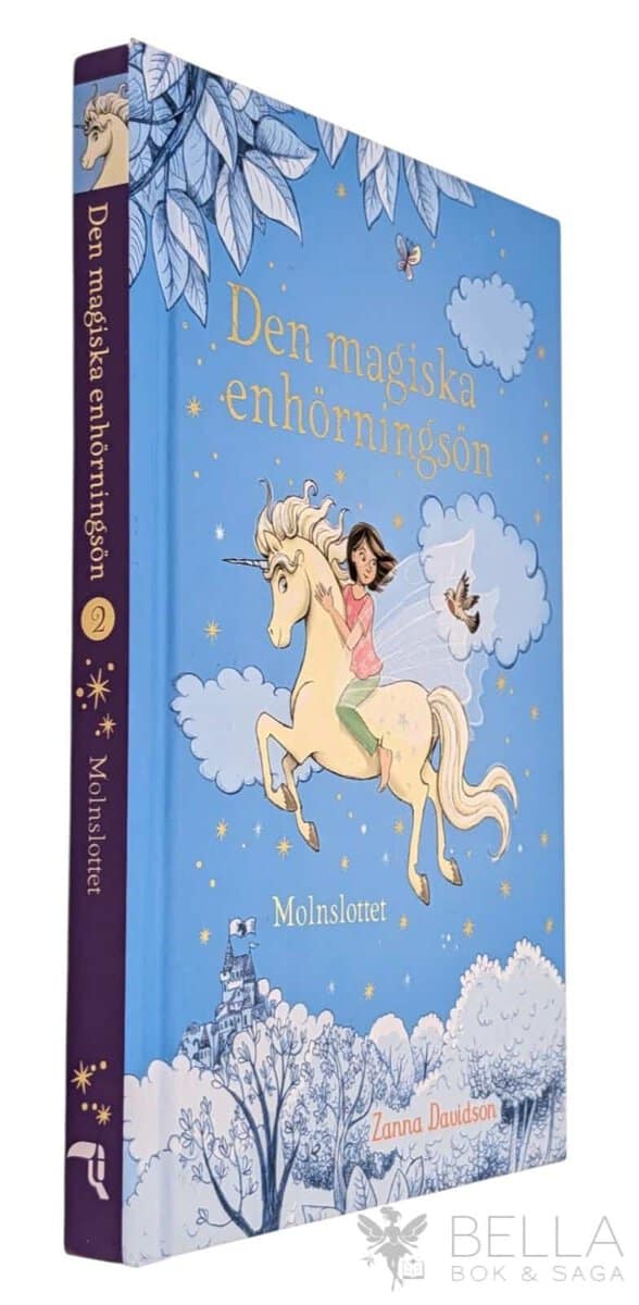 Zanna Davidson : Molnslottet
