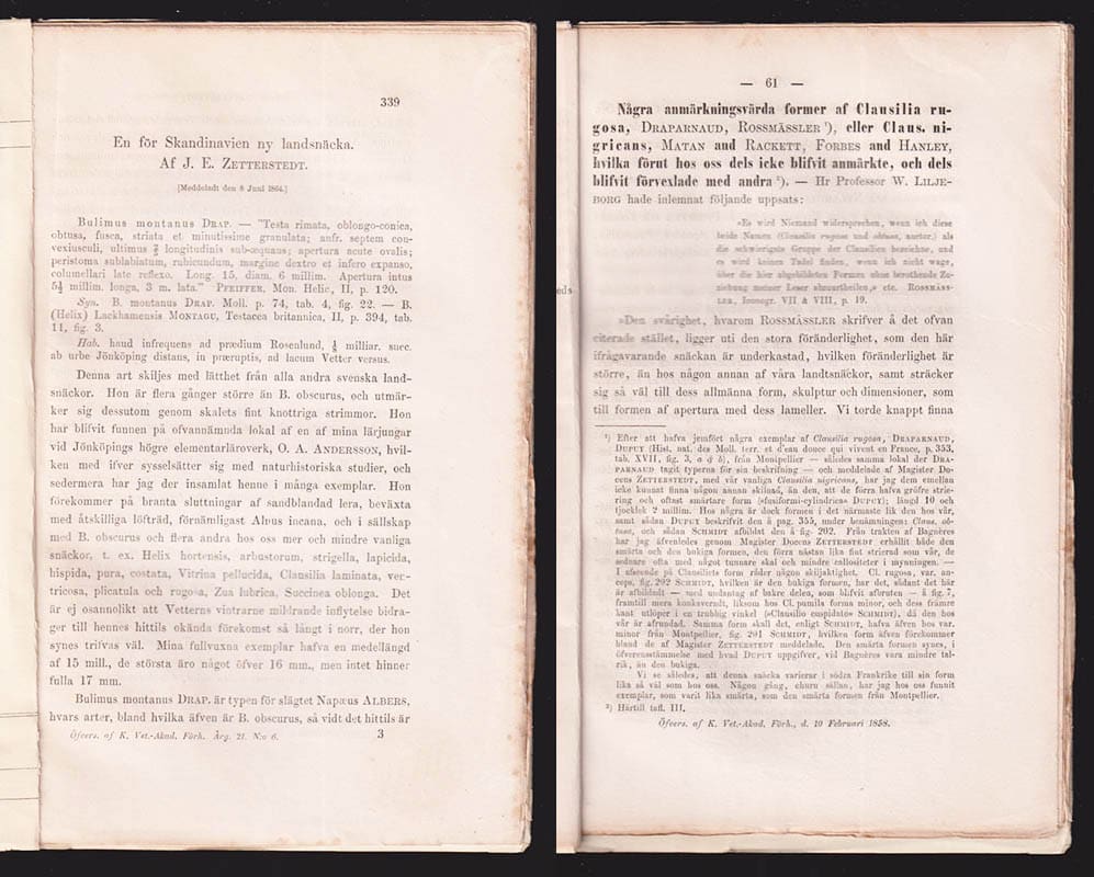 Zetterstedt, J. E. (Johan Emanuel, 1828-1880) ; Lilljeborg, Wilhelm (1816-1908) : En för Skandinavien ny landsnäcka. Af J. E. Zetterstedt. (Meddeladt den 8 juni 1864)
