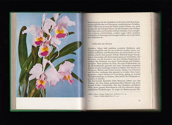 Zimmermann A. ; Dougoud, R : Tropische Orchideen