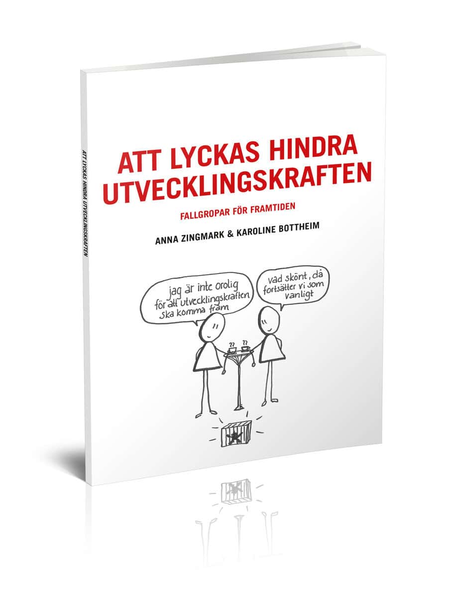 Zingmark, Anna ; Bottheim, Karoline : Att lyckas hindra utvecklingskraften